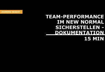 Team-Performance in New Normal sicherstellen - Dokumentation